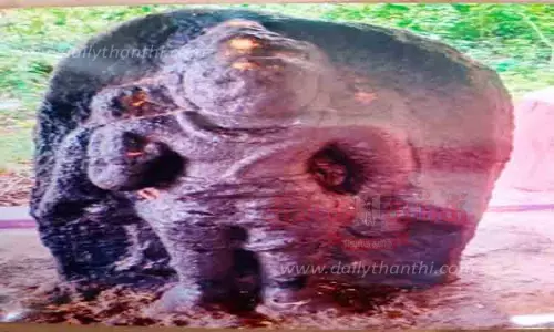 11-ம் நூற்றாண்டு பைரவர் சிலை கண்ெடடுப்பு 11-ம் நூற்றாண்டு பைரவர் சிலை கண்ெடடுப்பு