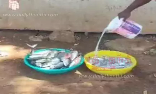 சாலையோர கடையில் கெட்டுப்போன மீன்கள் அழிப்பு