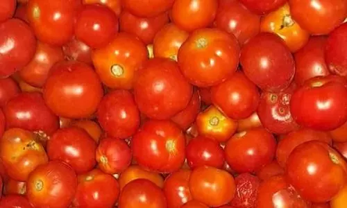 வரத்து அதிகரிப்பால் தக்காளி கிலோ ரூ.80-க்கு விற்பனை