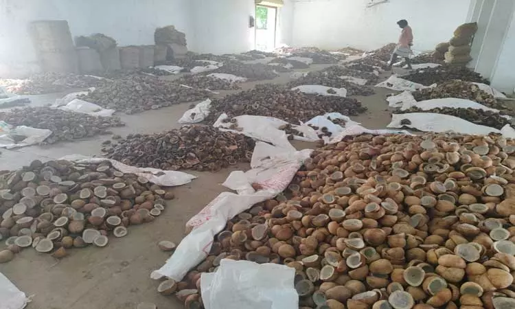 ஆனைமலையில் கொப்பரை தேங்காய் ஏலம் ஆனைமலையில் கொப்பரை தேங்காய் ஏலம்