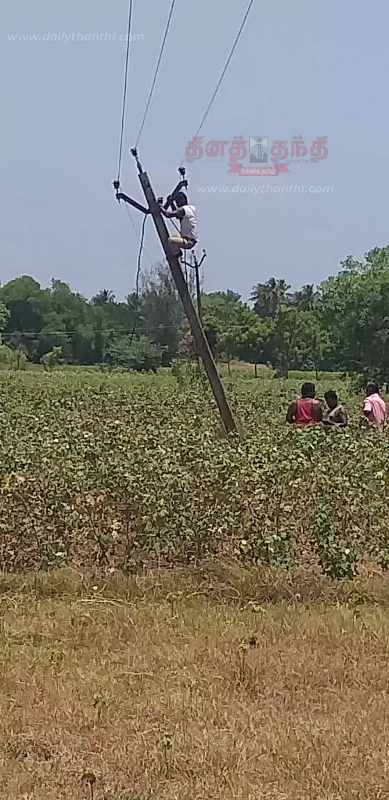மின்பாதையில் இடையூறாகஇருந்த மரங்கள் அகற்றம்