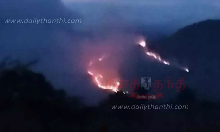 வனப்பகுதியில் தீவிபத்து