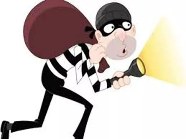 தேன்கனிக்கோட்டையில்எல்.ஐ.சி. முகவர் வீட்டில் தங்க நகை, பணம் திருட்டுமர்ம நபர்களுக்கு வலைவீச்சு