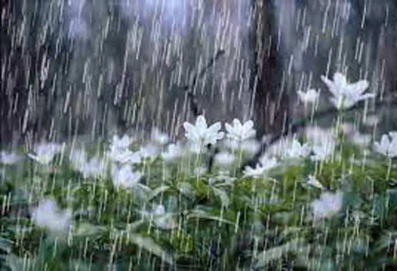 3 நாட்கள் லேசான மழைக்கு வாய்ப்பு