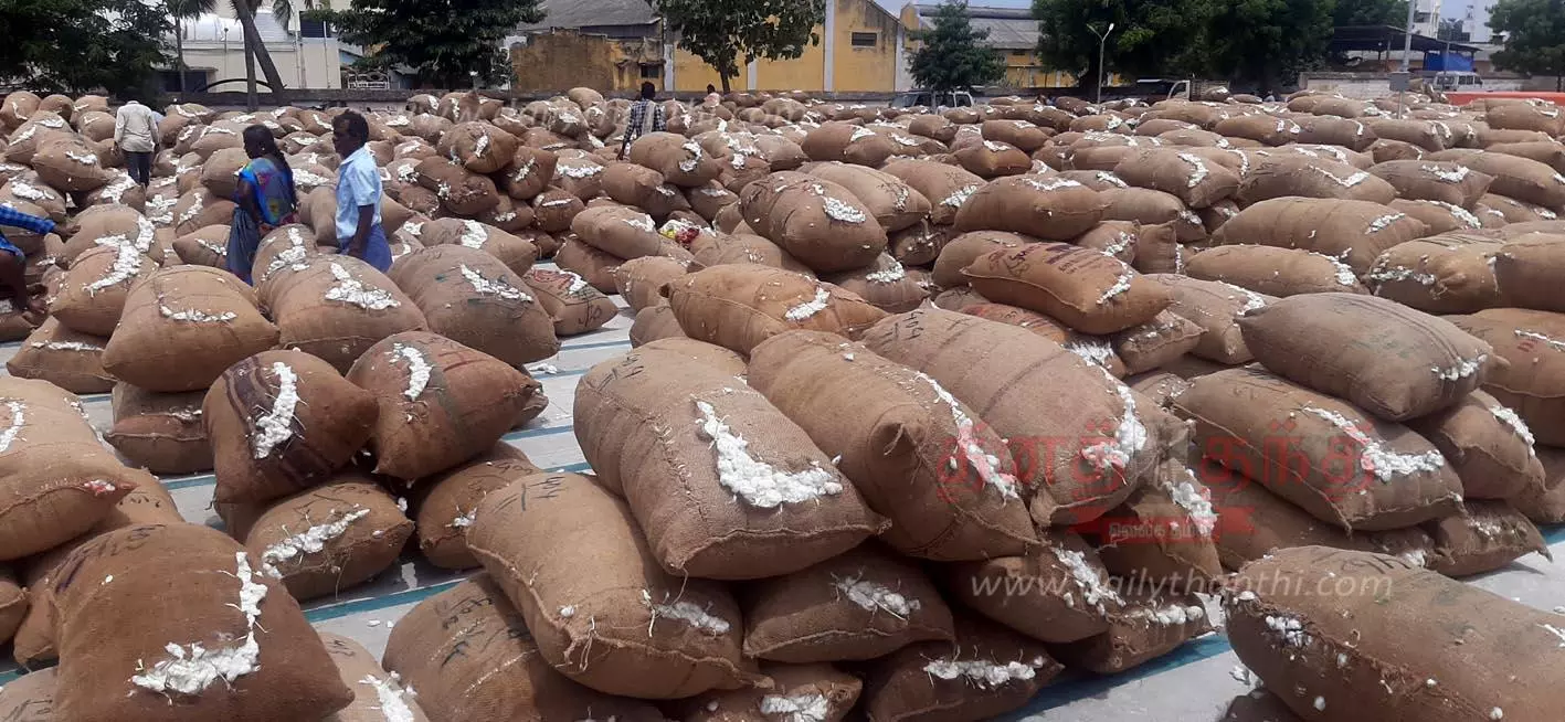 ரூ.80 லட்சத்துக்கு பருத்தி ஏலம் ரூ.80 லட்சத்துக்கு பருத்தி ஏலம்