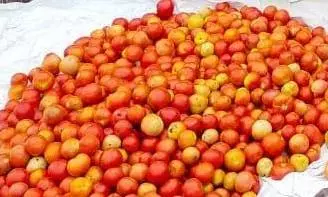 செஞ்சியில் ஒரு கிலோ தக்காளி ரூ.50-க்கு விற்பனை