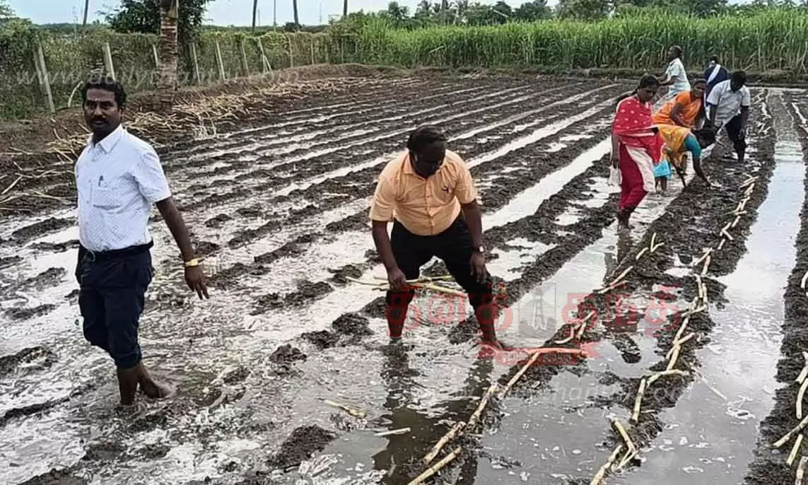 கரும்பு நடவு பணி தடுத்து நிறுத்தம் செய்து வருவாய்த்துறையினர் நடவடிக்கை