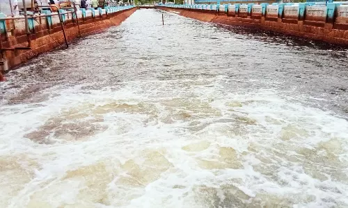 அமராவதி அணையில் இருந்து தண்ணீர் திறப்பு