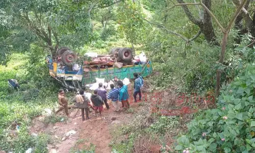 கோழிக்கழிவு ஏற்றி வந்த லாரி, 60 அடி பள்ளத்தில் கவிழ்ந்தது