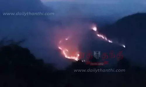 வனப்பகுதியில் தீவிபத்து