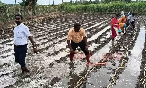 கரும்பு நடவு பணி தடுத்து நிறுத்தம் செய்து வருவாய்த்துறையினர் நடவடிக்கை