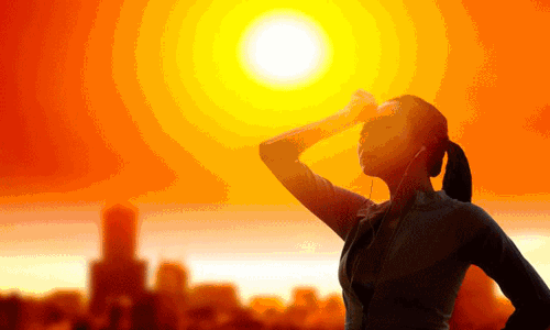 நெல்லையில் 103 டிகிரி வெயில் கொளுத்தியது நெல்லையில் 103 டிகிரி வெயில் கொளுத்தியது