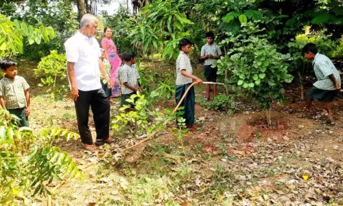 அரசு பள்ளி வளாகத்தில் சோலை வனம்