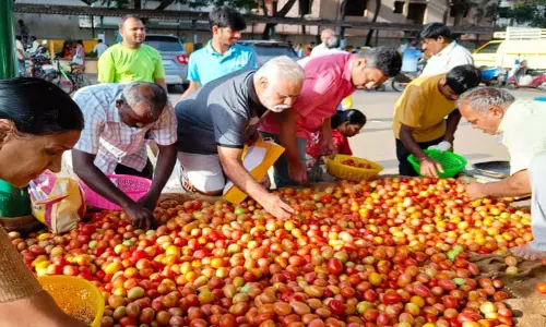 கோவையில் தக்காளி விலை குறைந்தது