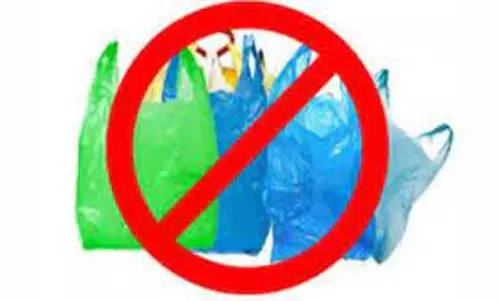 பாலித்தீன் பைகள் பறிமுதல்