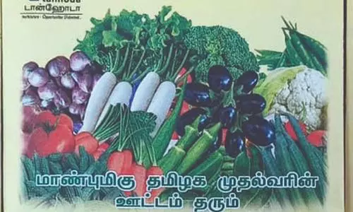 பொதுமக்களுக்கு மானிய விலையில் ஊட்டம் தரும் காய்கறி விதைகள்
