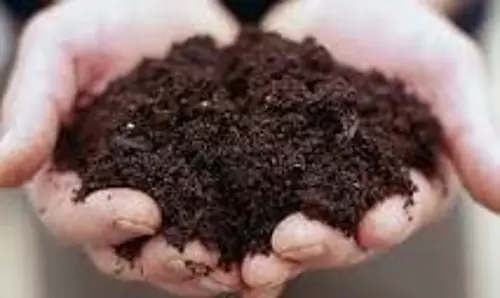 65 ஊராட்சிகளில் மண்வள அட்டைசெயலி மூலம் மாதிரிகள் சேகரிப்பு