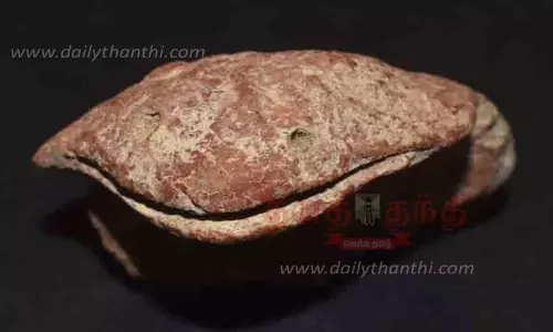 பாம்பு தலை போன்ற உருவம் கண்ெடடுப்பு பாம்பு தலை போன்ற உருவம் கண்ெடடுப்பு