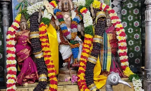 சுவாமிமலை சுவாமிநாதசாமி கோவிலில் தெப்ப திருவிழா சுவாமிமலை சுவாமிநாதசாமி கோவிலில் தெப்ப திருவிழா