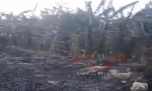 விஜயநாராயணத்தில் 500 வாழைகள் தீயில் எரிந்து நாசம்