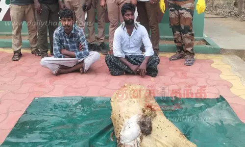 கடமான் வேட்டையாடிய 2 பேர் கைது கடமான் வேட்டையாடிய 2 பேர் கைது