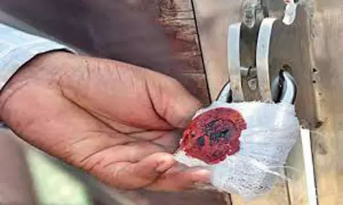 நெல்லையில் ஓட்டலுக்கு சீல் வைப்பு நெல்லையில் ஓட்டலுக்கு சீல் வைப்பு