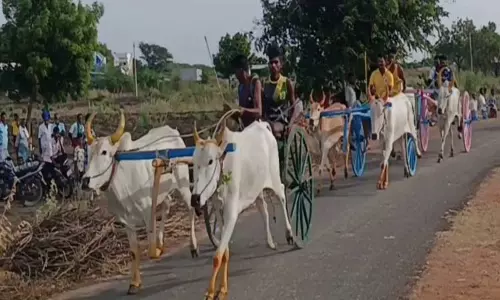 விளாத்திகுளம் அருகேமாட்டுவண்டி பந்தயம் விளாத்திகுளம் அருகேமாட்டுவண்டி பந்தயம்