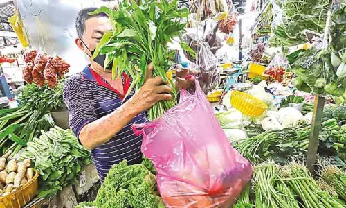 பிளாஸ்டிக் இல்லாத உலகம்