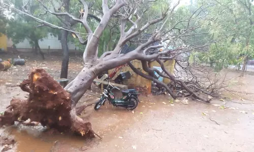 கொடைக்கானலில் கொட்டித்தீர்த்த கனமழை கொடைக்கானலில் கொட்டித்தீர்த்த கனமழை