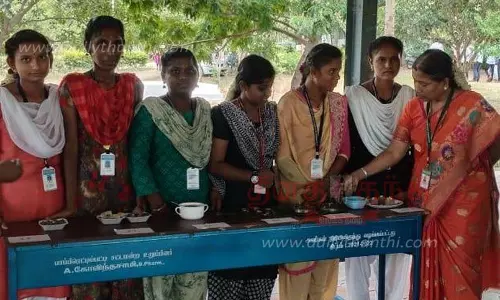 பாப்பிரெட்டிப்பட்டி அரசு கல்லூரியில் சிறுதானிய உணவு திருவிழா