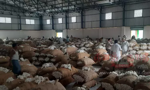 ரூ.31 லட்சத்துக்கு பருத்தி ஏலம்