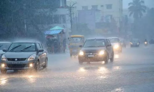 திருக்கோவிலூர் பகுதியில் பலத்த மழைமரக்கிளைகள் முறிந்து விழுந்தன-மின்சாரம் துண்டிப்பு