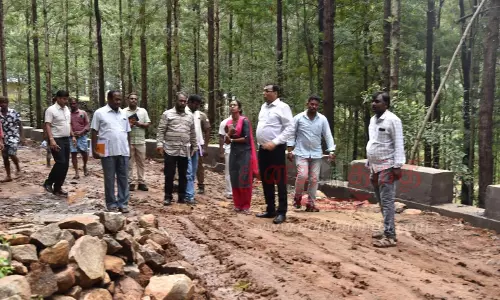 சாலை அமைக்கும் பணிகளை கலெக்டர் கார்மேகம் ஆய்வு