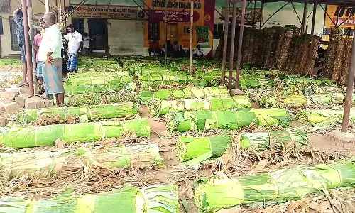 வாழை இலை விலை உயர்வு