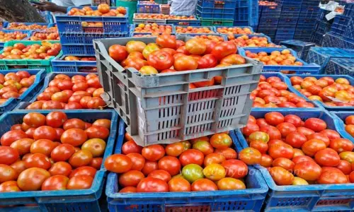 தக்காளி விலை குறைந்தது