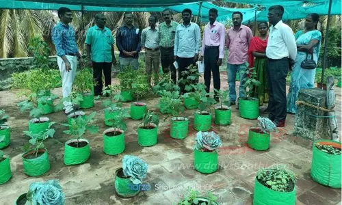 மாடித்தோட்டம் அமைப்பது குறித்து பயிற்சி