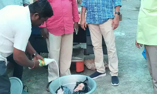 கெட்டுப்போன இறைச்சி விற்ற கடைக்கு அபராதம்