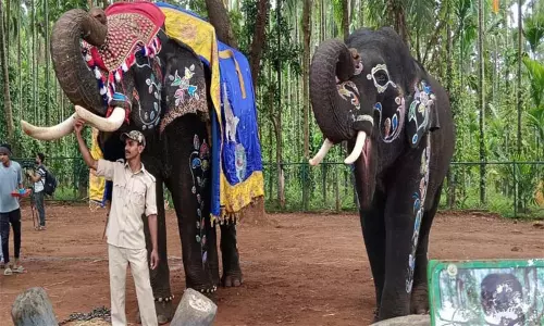 சக்கரேபைலுவில் உலக யானைகள் தின நாள் கொண்டாட்டம்