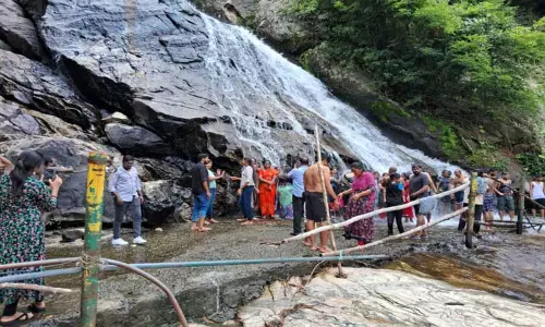 குரங்கு நீர்வீழ்ச்சியில் தடுப்புகள் சீரமைக்கப்படுமா?