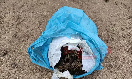 கரை ஒதுங்கிய 3 கிலோ கஞ்சா பொட்டலங்கள்