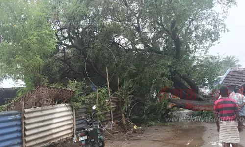 அத்தனூர் பகுதியில் பலத்த காற்றுடன் கனமழை