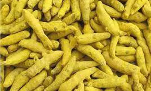 திருச்செங்கோட்டில் ரூ.1½ கோடிக்கு மஞ்சள் ஏலம்