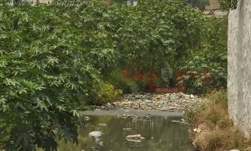 பேபி வாய்க்காலில் தேங்கி உள்ள பிளாஸ்டிக் கழிவுகள்அகற்ற பொதுமக்கள் கோரிக்கை