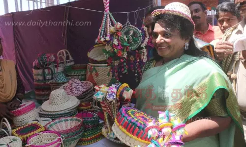 பார்வையாளர்களை கவர்ந்த பனை திருவிழா