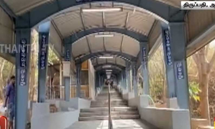 சிறுத்தை தாக்கி சிறுமி பலி: அலிப்பிரி மலைப்பாதையில் பக்தர்களுக்கு புதிய கட்டுப்பாடுகள்