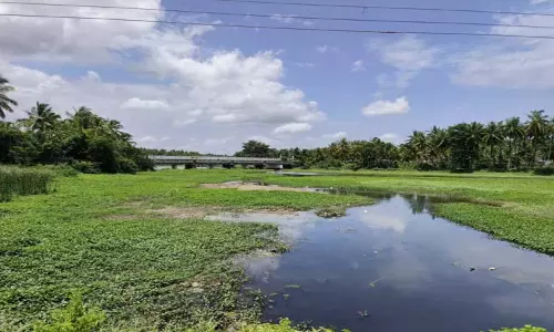 ஆழியாற்றில் கழிவுநீர் கலப்பதால் நீர் மாசுபடும் அபாயம்-சுத்திகரிப்பு நிலையம் அமைக்க பொதுமக்கள் கோரிக்கை