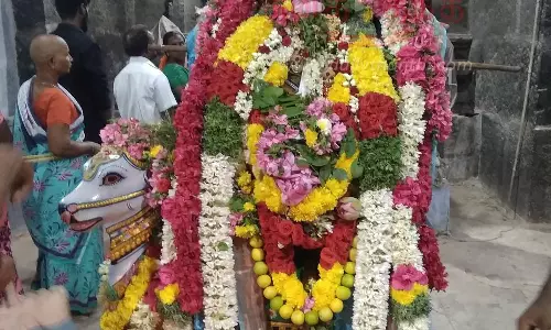 கரபுரநாதர் கோவிலில் சிறப்பு வழிபாடு