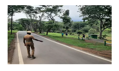 மழையால் நீர்வரத்து அதிகரிக்க வாய்ப்புள்ளதால்மாயாற்றுக்குள் சுற்றுலா பயணிகள் இறங்கக்கூடாது-வனத்துறையினர் எச்சரிக்கை மழையால் நீர்வரத்து அதிகரிக்க வாய்ப்புள்ளதால்மாயாற்றுக்குள் சுற்றுலா பயணிகள் இறங்கக்கூடாது-வனத்துறையினர் எச்சரிக்கை
