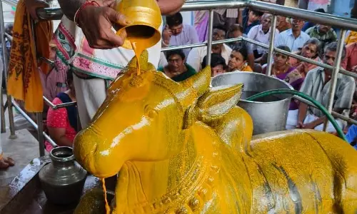 சிவன் கோவில்களில் சிறப்பு வழிபாடு