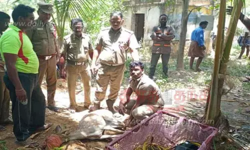 கிணற்றில் தவறி விழுந்த புள்ளிமான் மீட்பு